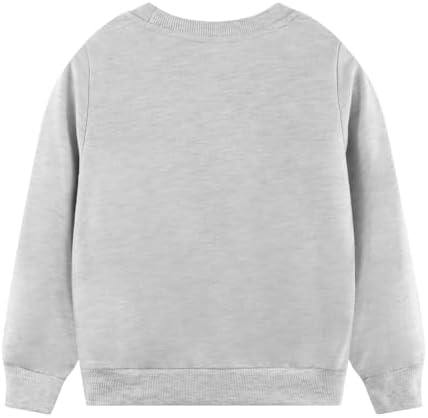 Exciting Dinosaur Adventure Boys Crewneck Sweatshirt