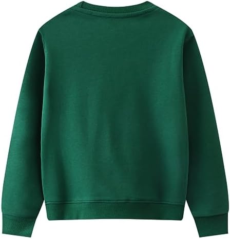 Popshion Boys Monster Truck Dinosaur Cotton Pullover