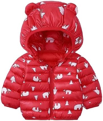 Toddler Bear Ear Hoodie for Winter Boy Girl 5T 4T 2T 12M