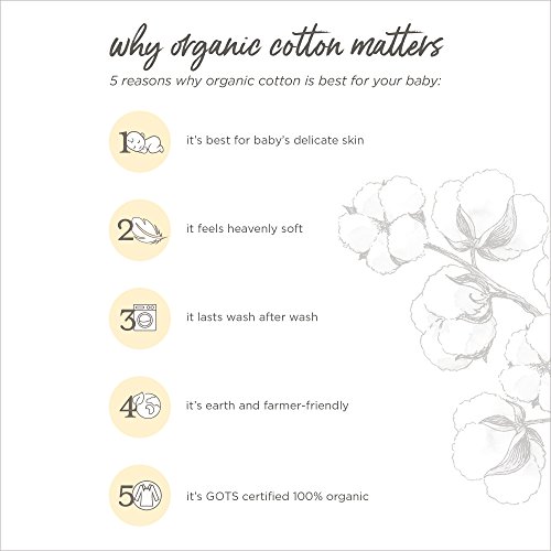 Organic Baby Essentials Bundle