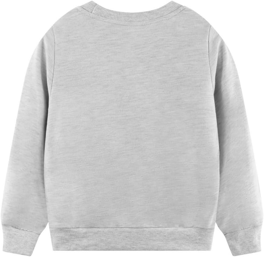 Exciting Dinosaur Adventure Boys Crewneck Sweatshirt