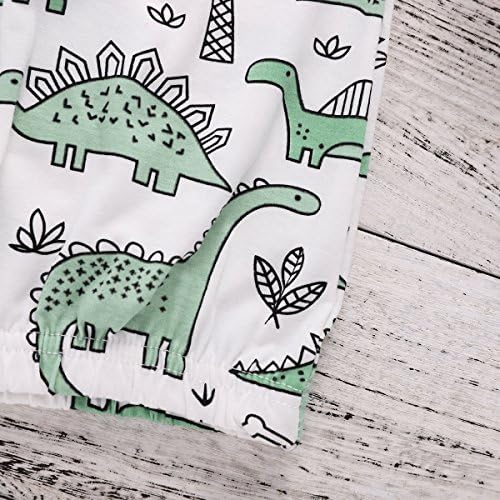 COLOOM Toddler Dinosaur Sleep Outfit
