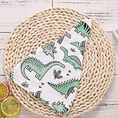 COLOOM Toddler Dinosaur Sleep Outfit